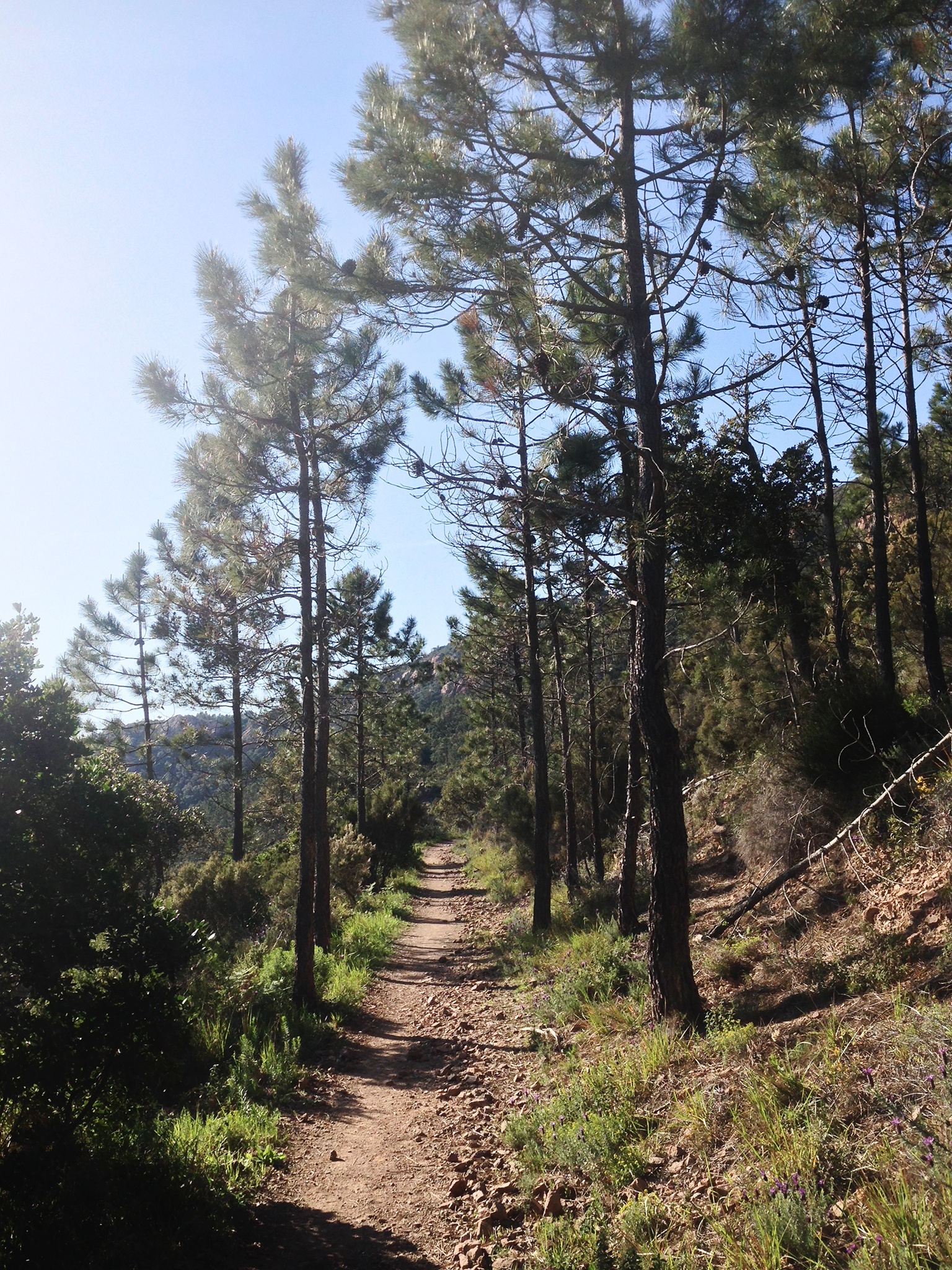 Massif de l'Estérel mit dem Mountainbike
