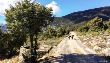 route napoléon von St. Vallier de Thiey