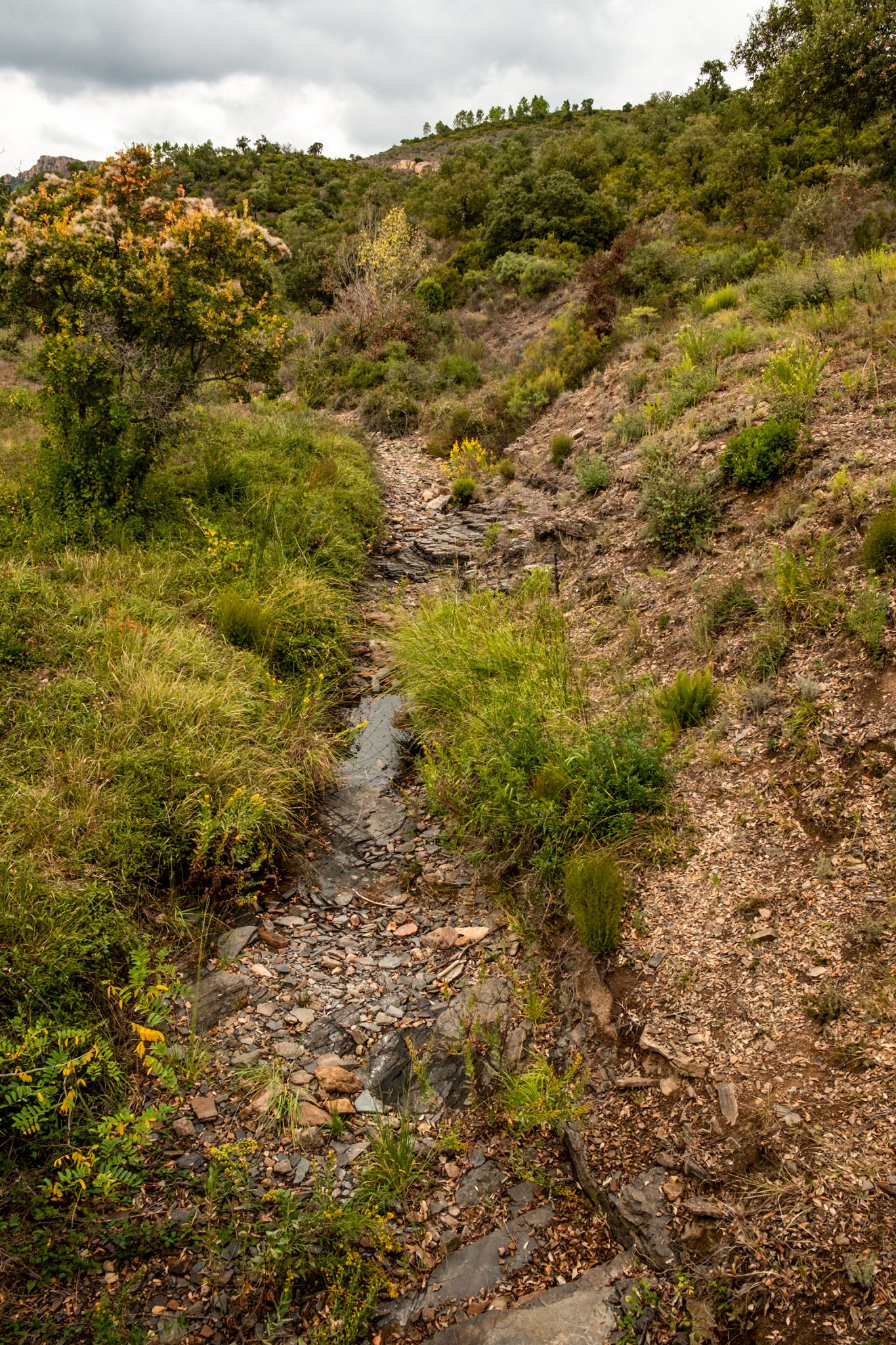 wir wandern vom Parkplatz am Col de belle barbe los