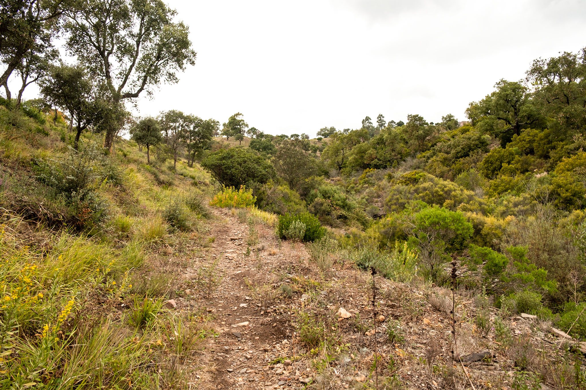 kleine Trampelpfade führen idyllisch durch die Landschaft
