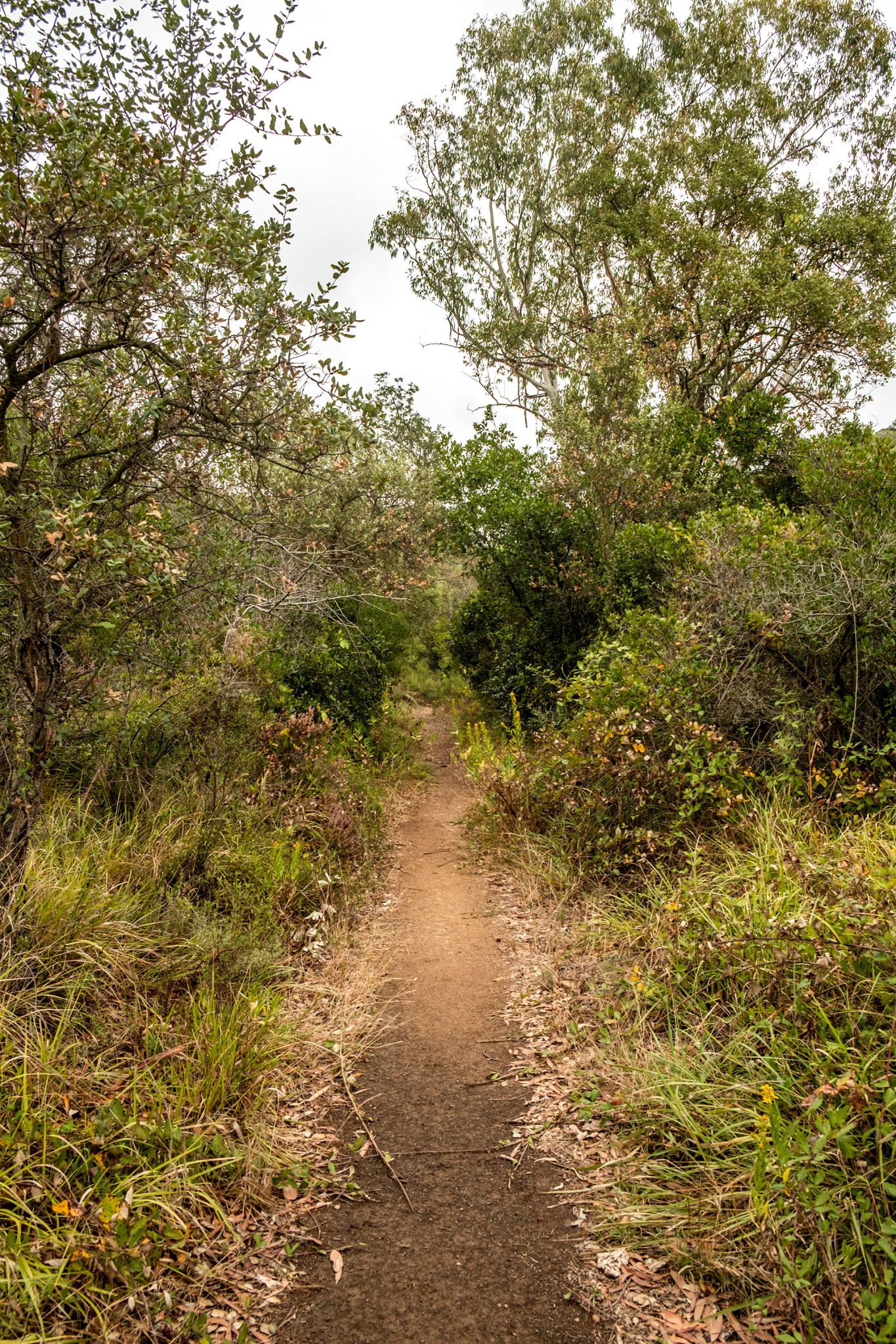 schmale Wanderwege machen viel Spaß
