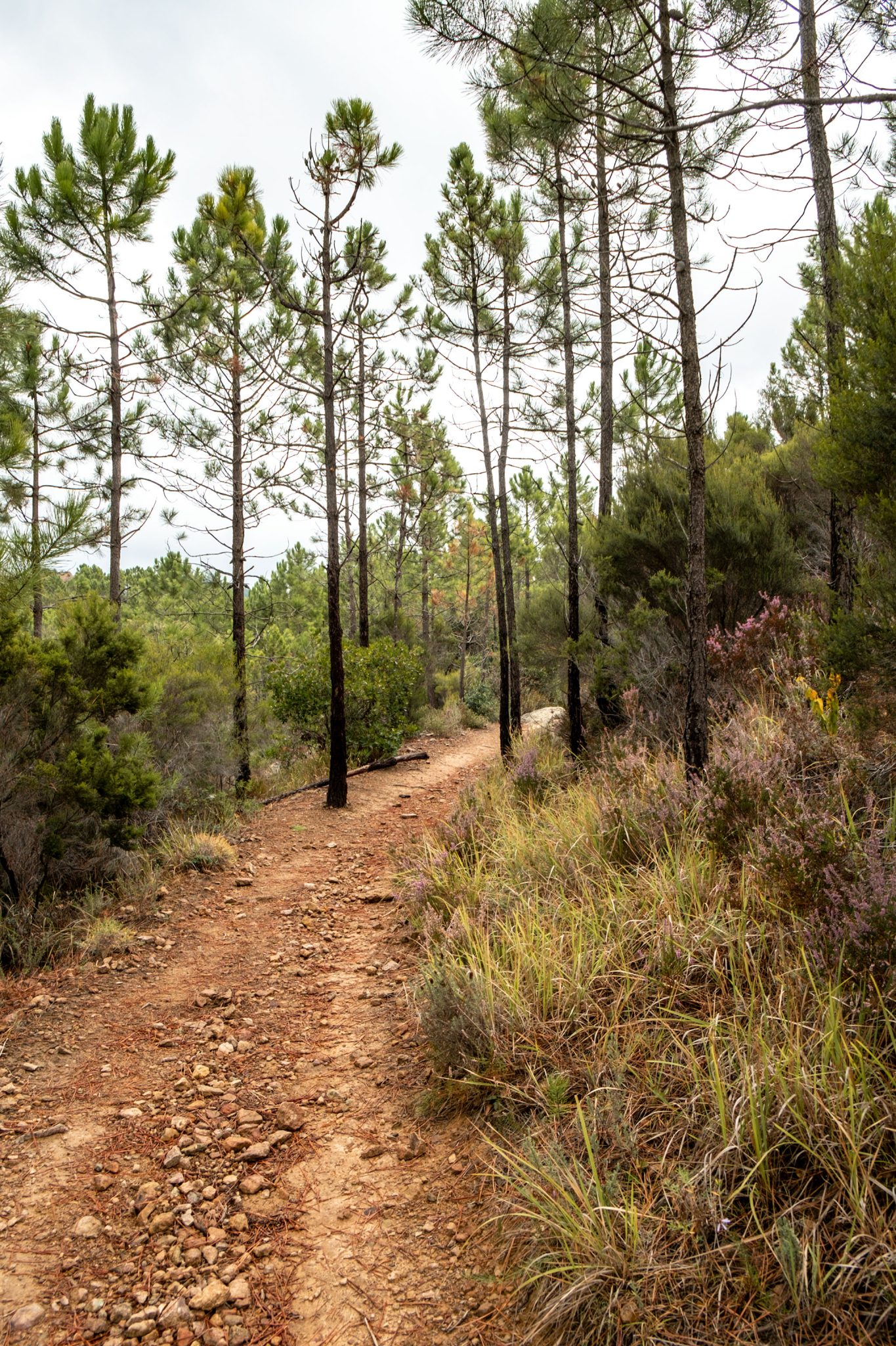 und wieder sieht die Landschaft anders aus